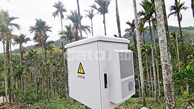 動(dòng)、植物園