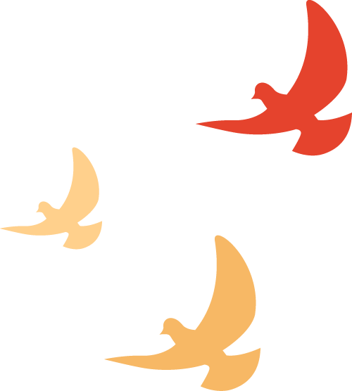 精彩速遞~23年昆明博覽會開展第一天(圖12)