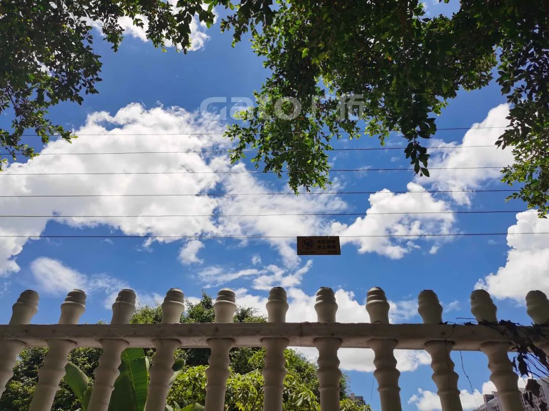 泉州東海污水處理廠周界報(bào)警解決方案(圖5)