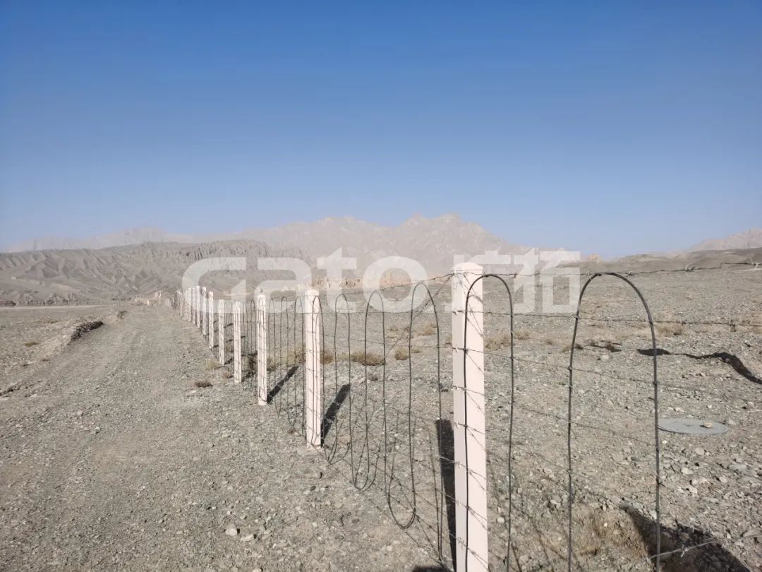 “唐僧”取經(jīng)路過的新疆古佛寺，千年后用上了廣拓F7振動光纖系統(tǒng)！(圖4)