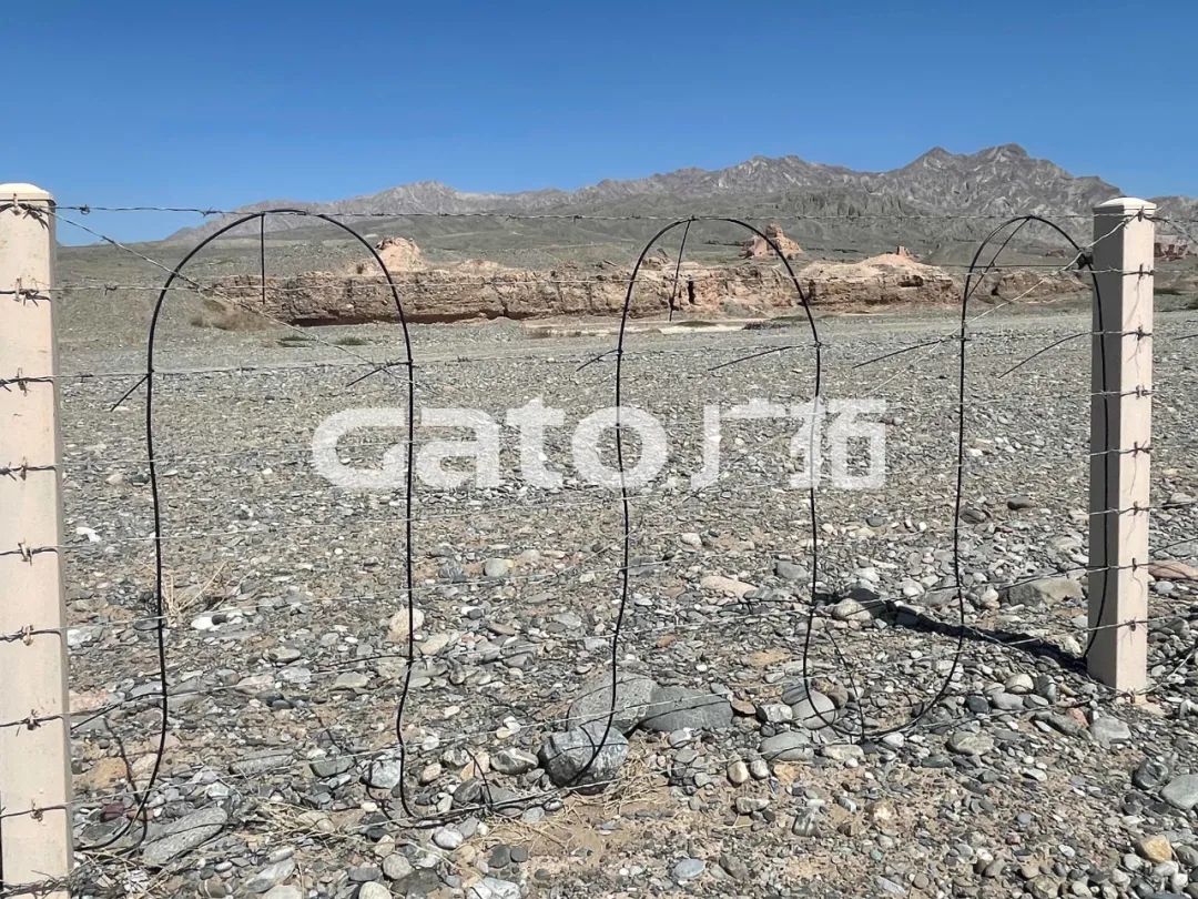 “唐僧”取經(jīng)路過的新疆古佛寺，千年后用上了廣拓F7振動光纖系統(tǒng)！(圖7)