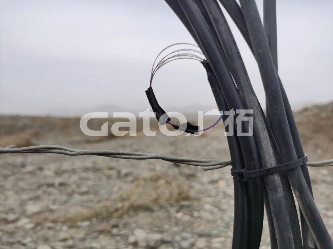 “唐僧”取經(jīng)路過的新疆古佛寺，千年后用上了廣拓F7振動光纖系統(tǒng)！(圖12)