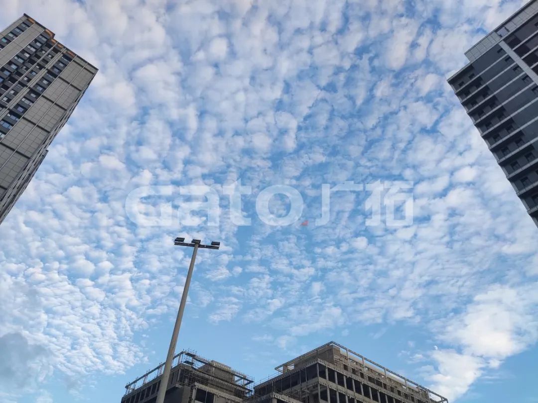 在2021年結(jié)束前，這53個廣拓下半年經(jīng)典案例推薦你看……(圖39)