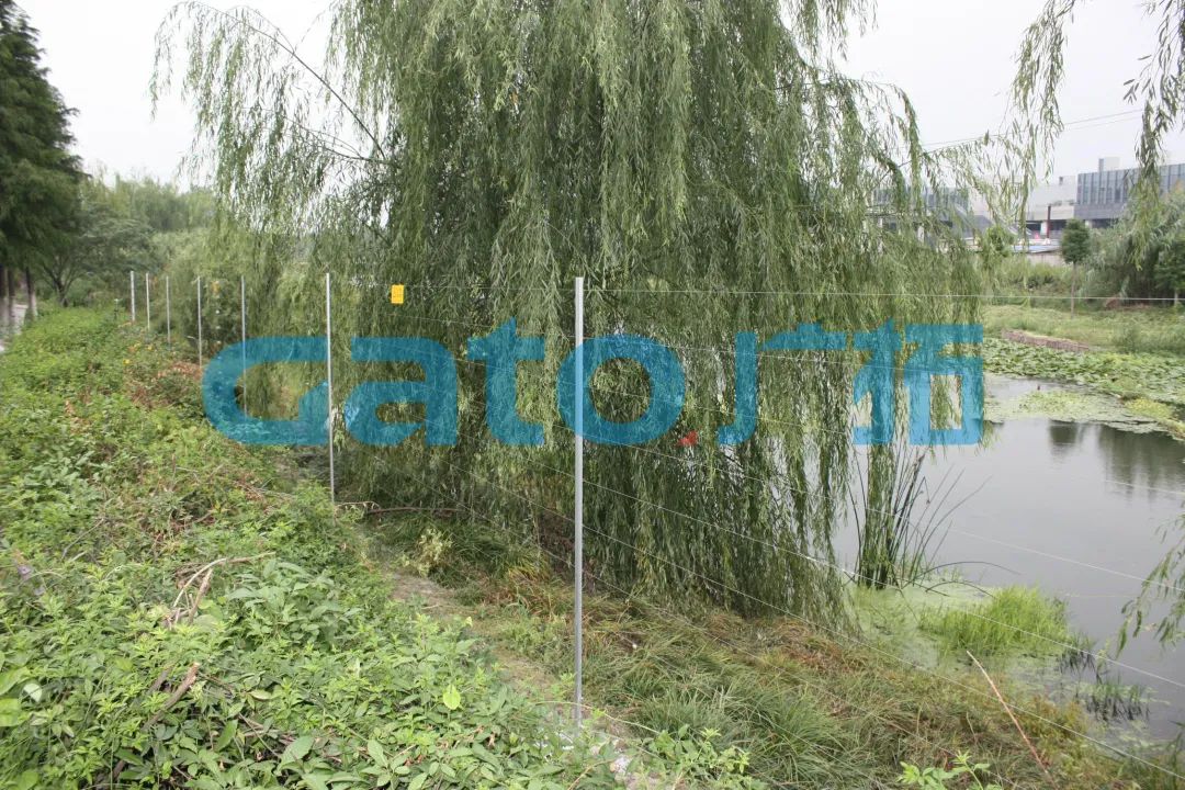 一文解鎖15種電子圍欄特殊安裝場(chǎng)景！(圖33)