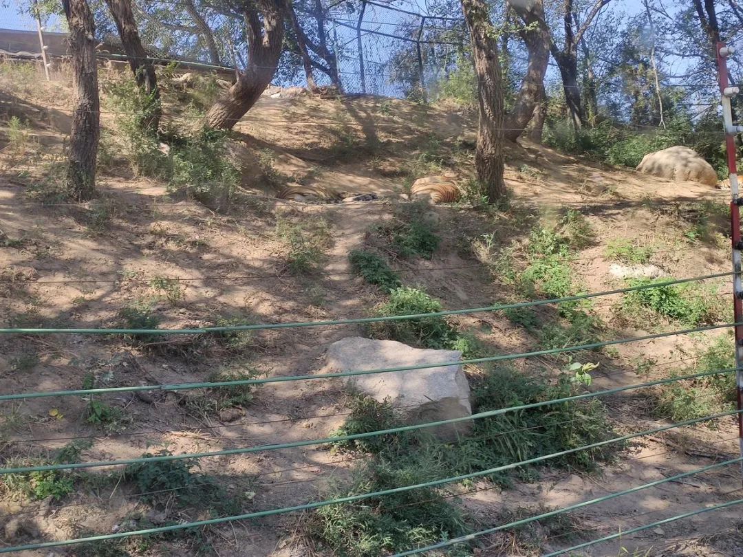 五一你負責(zé)浪~我負責(zé)安全感~(圖13)