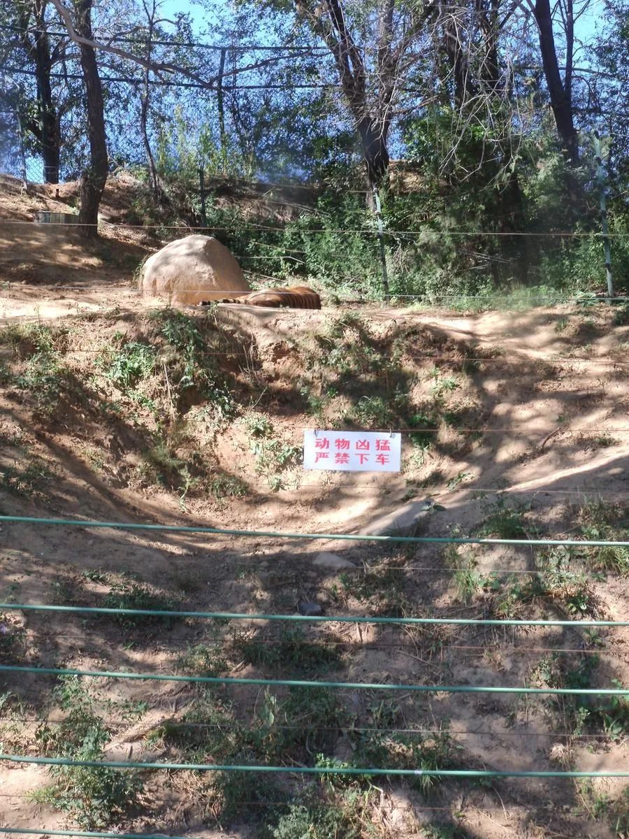 五一你負責(zé)浪~我負責(zé)安全感~(圖14)