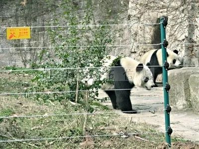 五一出游高峰不必慌，疫情防控神器來幫忙！(圖13)