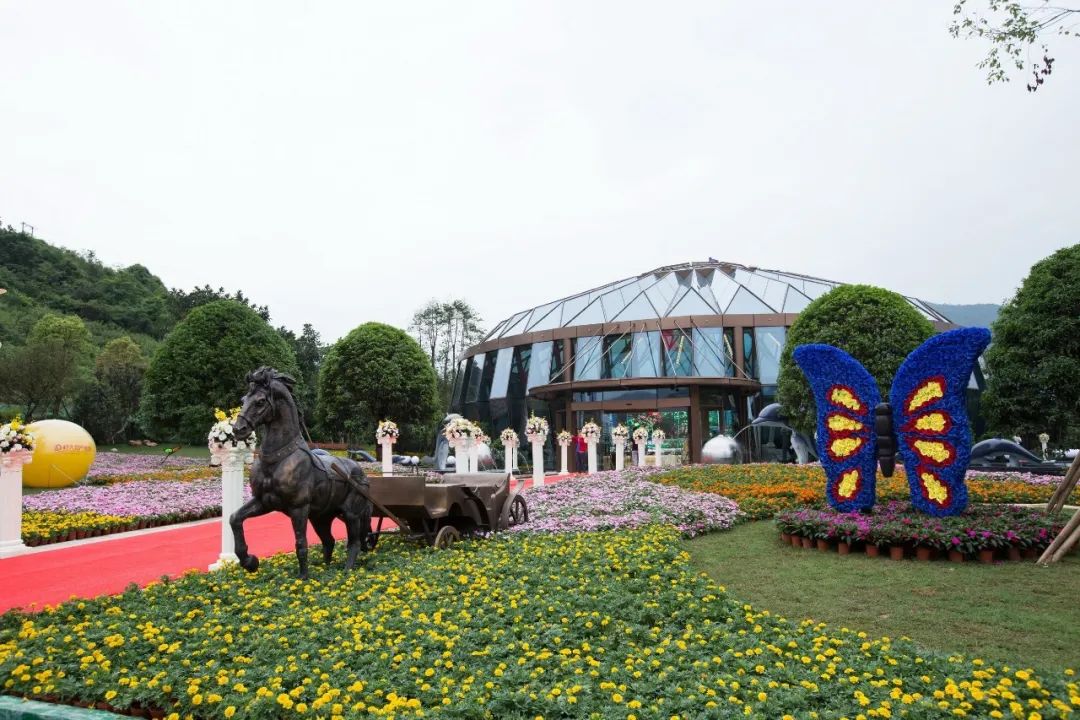 五一出游高峰不必慌，疫情防控神器來幫忙！(圖16)